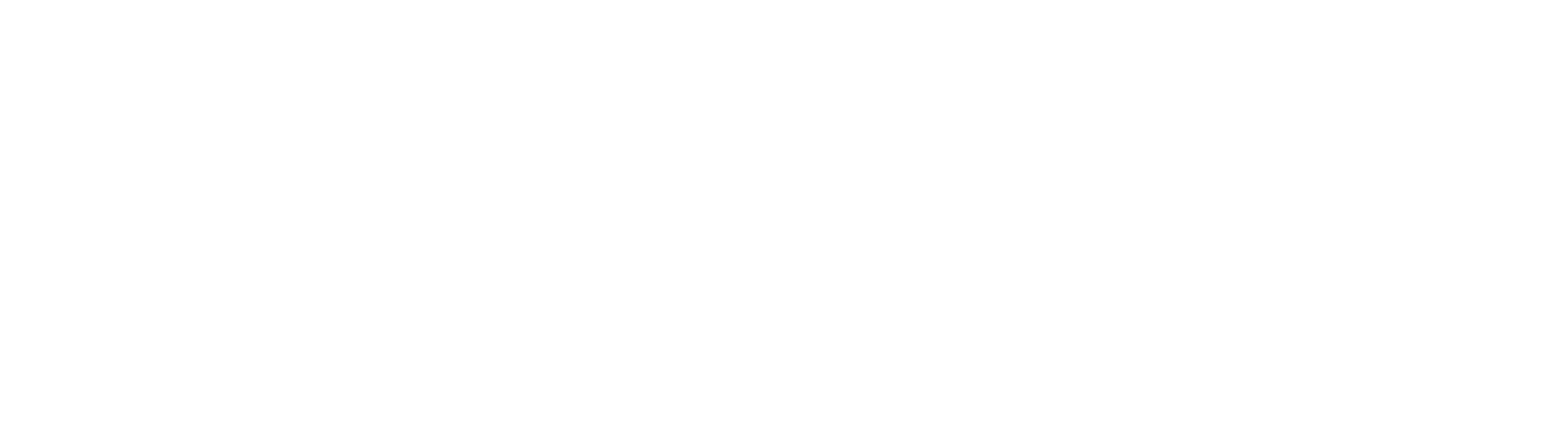 Turning Career